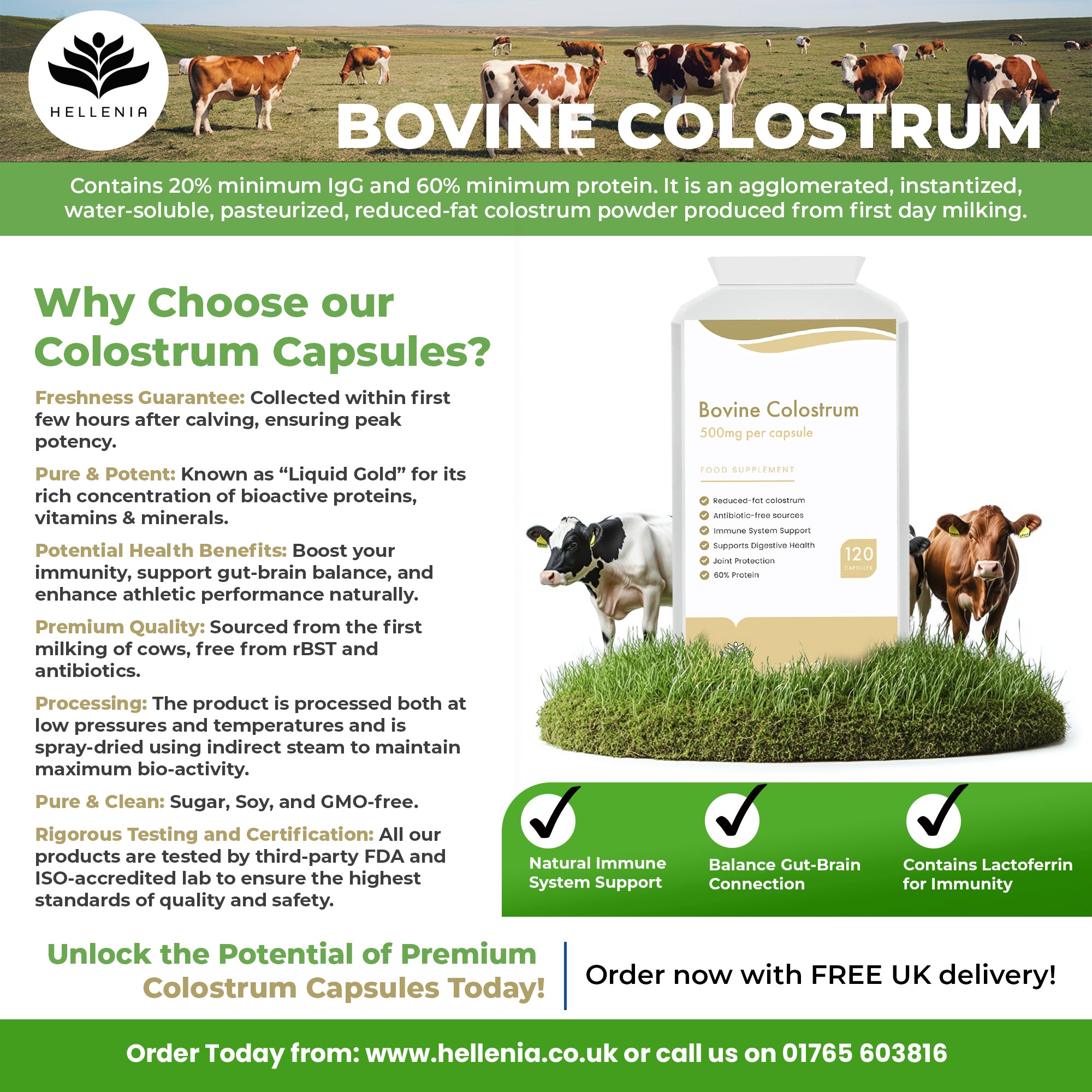 bovine colostrum glutathione Premier Research Labs Colostrum-IgG - Supplement for Immune Support* Colostrum w/Beta Glucan